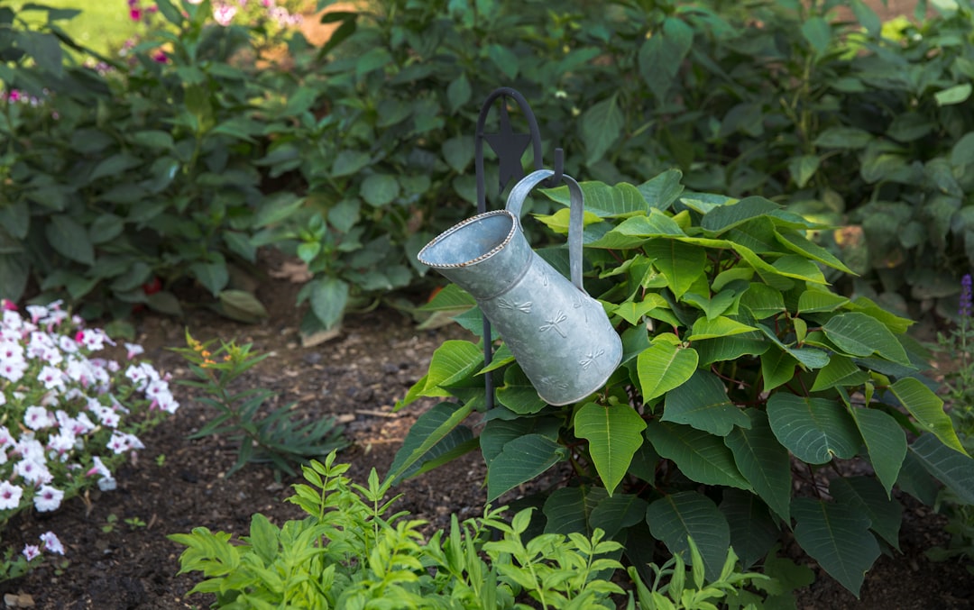 How Survival Gardening Can Flourish in Times of Uncertainty