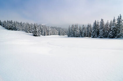 “Brave the Chill: Mastering Survival Skills for Cold Climates”